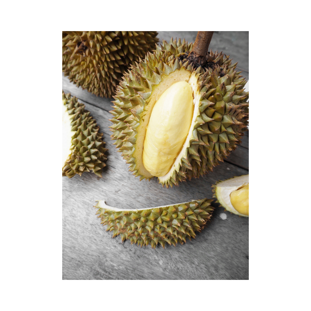 High Quality Durian Fruit from Thailand Wholesale Durian