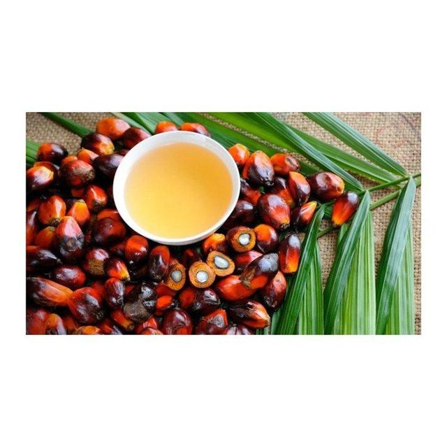 Top Grade PALM OIL / PALM OIL - Olein CP10, CP8, CP6 For Cooking /Palm Kernel Oil - Image 1