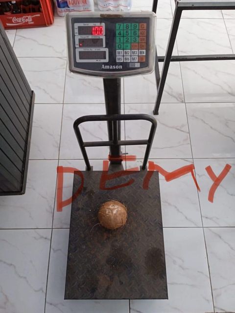 Semi Husked Coconut – product photo 3, product detail gallery