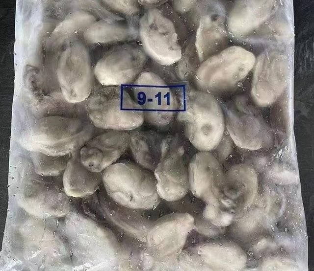 SD IQF New Season Fresh Frozen oyster Meat - Image 2