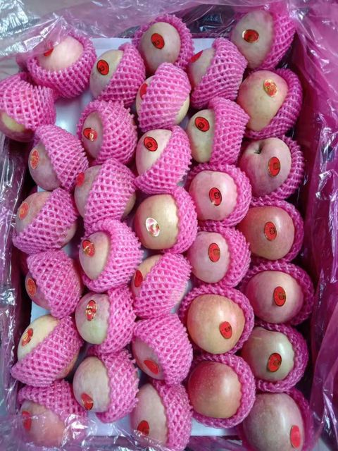 Premium Fresh Gala Apples, Crisp Sweet Juicy Grade A Fresh Fruits with Rich Nutrition - Image 3