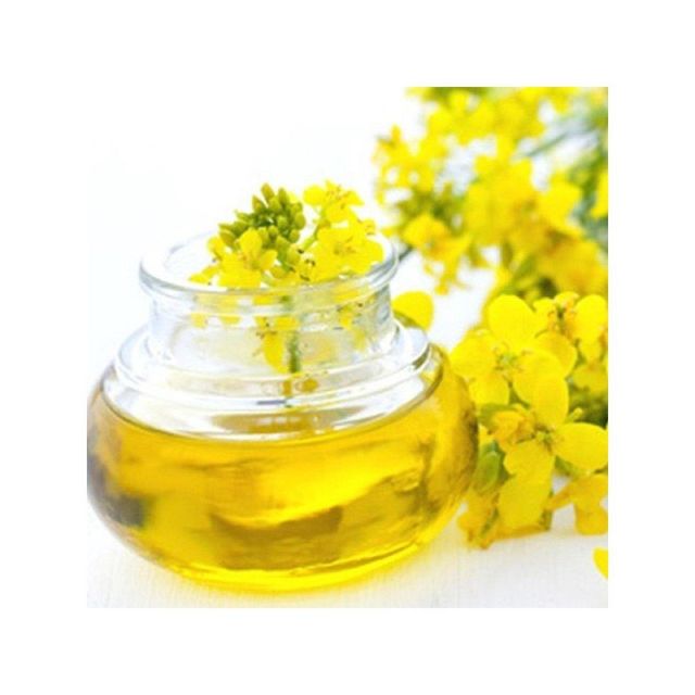 Factory price refined rapeseed oil available for export and large volume buyers - Image 4