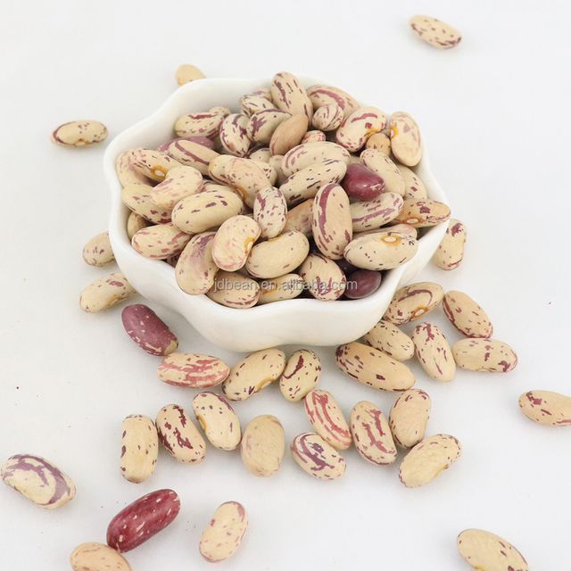 Pinto Beans Organic Dried Light Speckled Kidney Beans Sugar Beans - Image 1