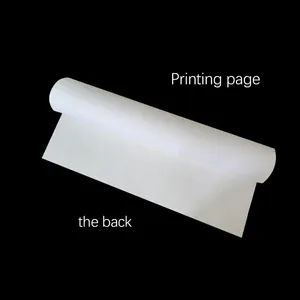 Self Adhesive Removable Plain Non Woven Wallpaper - Image 5
