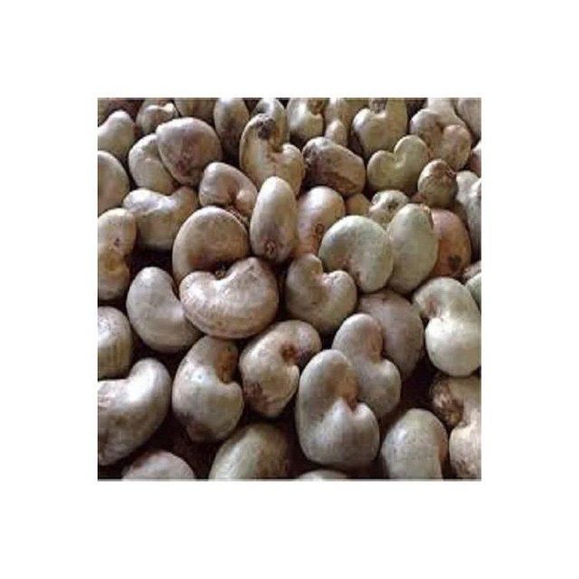Raw Cashew Nuts offered at discount price for snack food and nut processing industries - Image 5