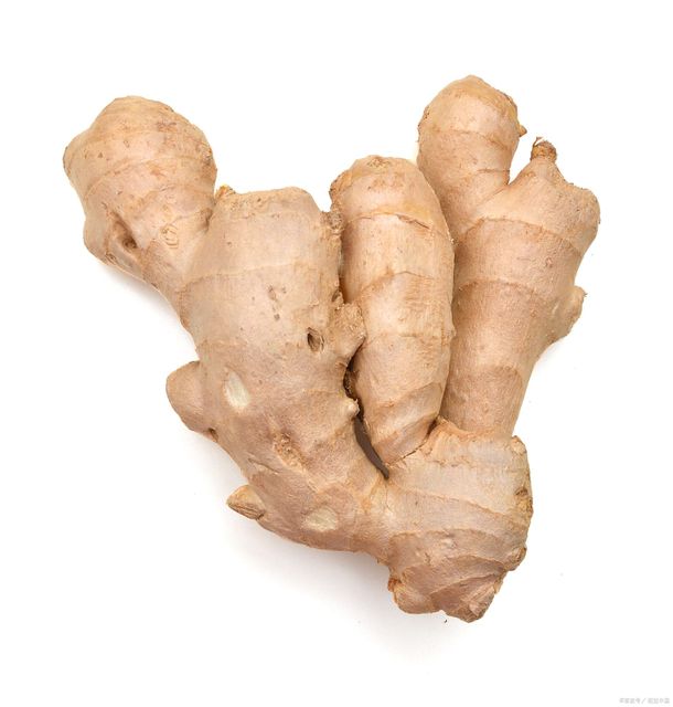 China High Quality Ginger for Wholesale - Image 1