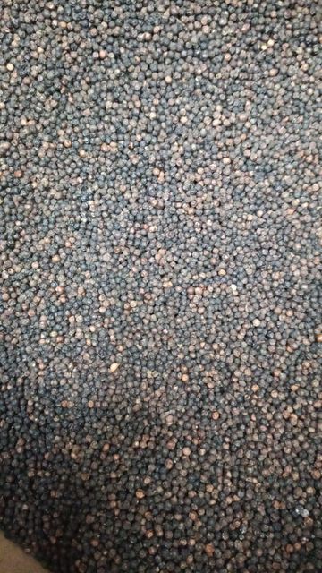 Black Pepper - Image 1