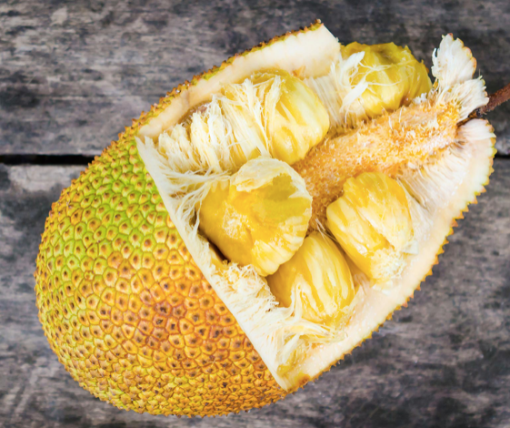 Jack fruit - Image 4