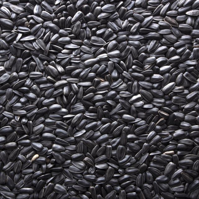 Sunflower Seed Oil - Image 1