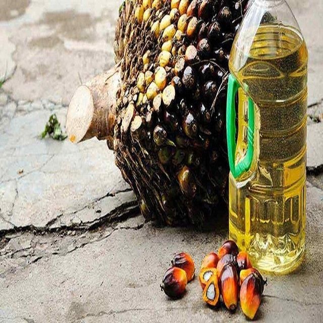 Bulk Supplier of Crude Palm Oil High Quality 100% Natural with 98% Purity - Image 3