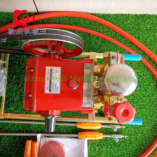 22bar Portable Power Sprayer with Ey20 Gasoline Engine & Pipe - Image 5