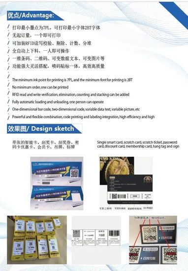 RFID 2D Barcode Scraping Lottery Ticket Variable Data Scraping Card Printing Coding UV Inkjet Printer - Image 5