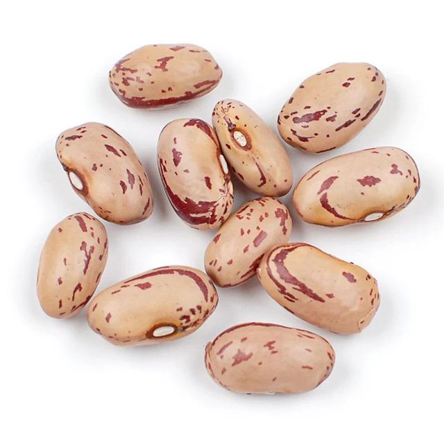 Quality Organic Kidney Pinto Beans Light Speckled Kidney Beans for Food Wholesale Dried and Bulk Packed - Image 1