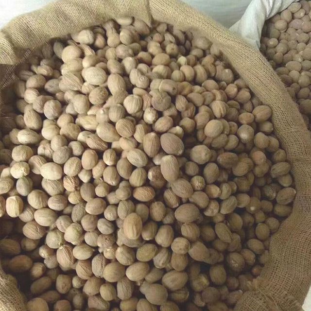 Premium Wholesale Nutmeg Spice – Whole & Ground, Aromatic High-Quality Natural Spice Sourced from Carefully Selected Nutmeg Seeds, Processed Under Strict Quality Standards for Maximum Freshness, Strong Aroma, and Rich Flavor, Ideal for Food Manufacturing, Baking, Beverage Production, Seasoning Blends, and Global Culinary Applications, Available in Bulk Packaging with Consistent Quality and Long Shelf Life for International Trade Buyers - Image 2