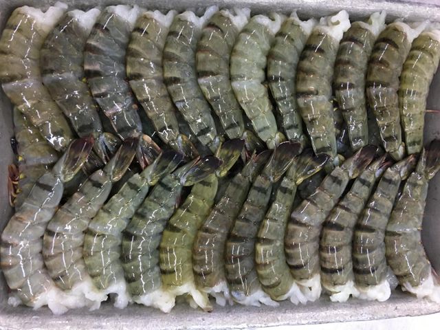 Low Price Frozen Black Tiger Shrimps Cheap Price Buy Frozen Udang Tiger Prawns Wholesale Available Best Price Fast D - Image 4