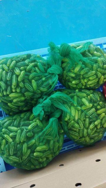 Fresh Vegetables and Fruits Origin India Sourcing Location India's Farms Packaging Method Carefully Packed Export Compliance Meets International Standards - Image 3