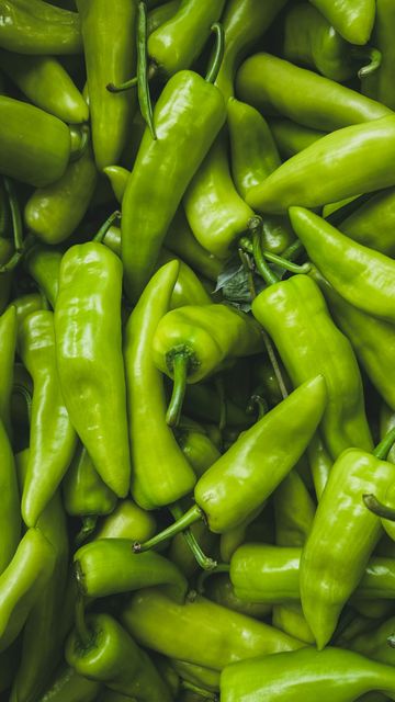 Fresh Green Chilli Grade A+ Taste Spicy Shelf Life 15days Place of Origin India Size 5-10cm, Small To Medium Packaging Size 5, 10, 15, 20, 25kg - Image 3