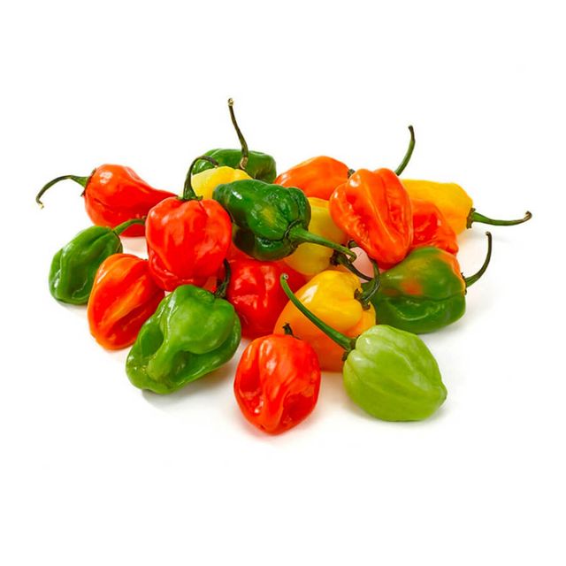 STOCK EXPORT Fresh Green Bell Peppers-Wholesale Organic Habanero with Sweet Flavor High Quality 5/10kg Carton - Image 1