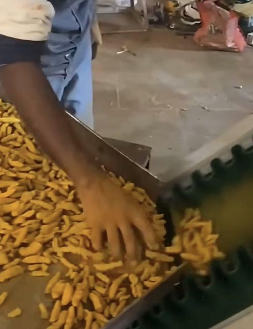 Finger turmeric - Image 1