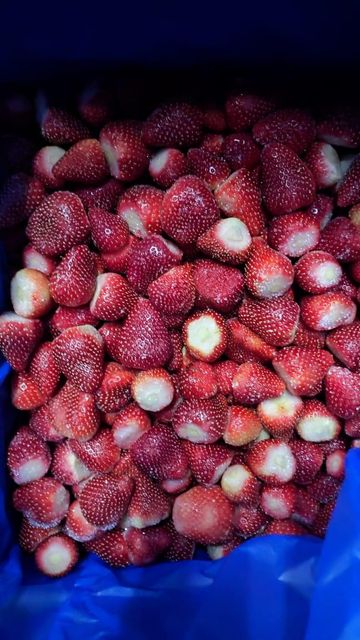 IQF Frozen Strawberries Grade A & B – Whole / Halves / Sliced – 10kg Cartons – From Egypt - Image 2