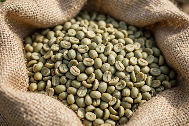 Robusta Coffee Beans Bulk Wholesale Consistent Supply | Top Quality Robusta Coffee - Image 3