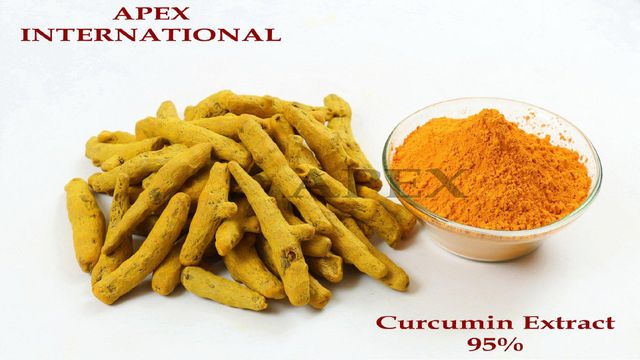Curcumin Extract 50 Hplc,Curcuma longa Extract, Curcuma longa, Curcumin Extract By 50 Hplc Turmeric Extract 50 Hplc, Curcumin 50 Hplc ,Turmeric 50 Hplc, Turmeric, Curcumin, Hplc Extract, Turmeric Extract 50 Hplc Bulk Supplier From India, Curcumin Extract 50 Hplc Bulk Supplier From India - Image 3