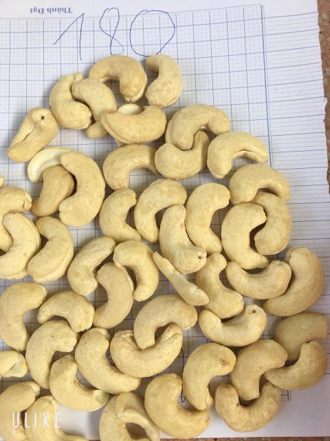 cashew nuts - Image 2