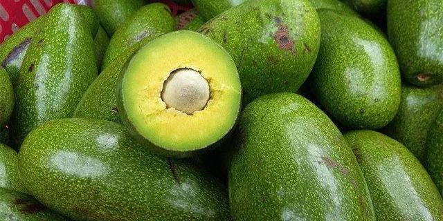 Newest Crop Fresh Avocado Fresh Vegetables With The Best Quality And Competitive Price From Viet Nam – product photo 4, product detail gallery