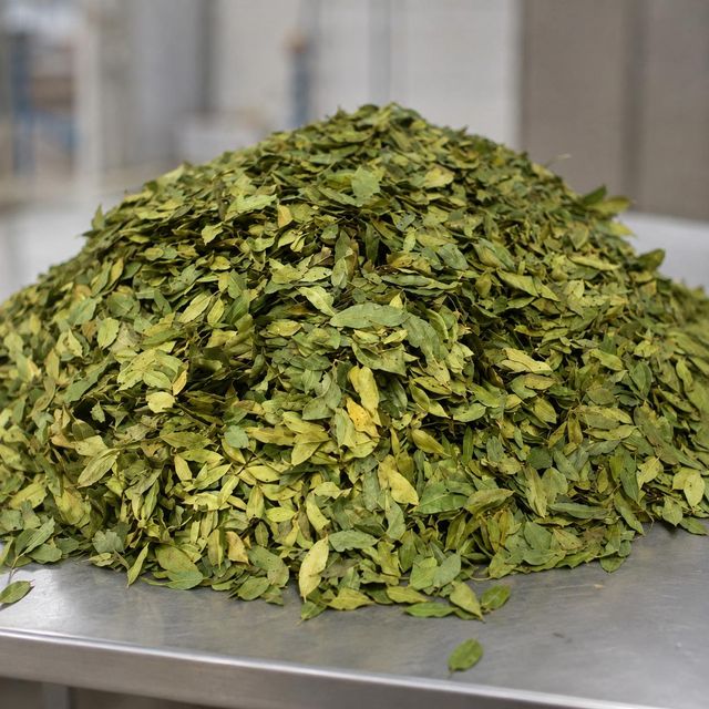 Turkish Dried Bay Leaves (Laurus nobilis L.) — Semi Select & FAQ Pressed Bale - Image 3