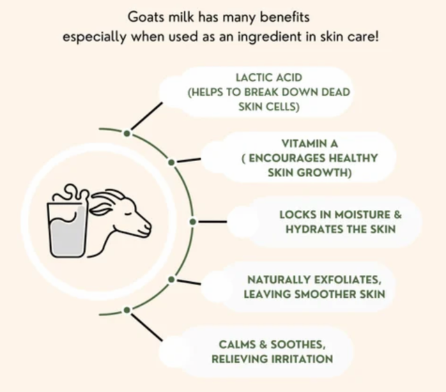 Goat Milk Spray Dried Powder - Image 3