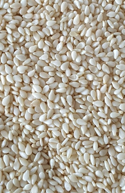 Natural White Sesame Seeds for Export – Nigerian Origin, Food Grade , Natural White Sesame Seeds for Export – Nigerian Origin, Food Grade - Image 1