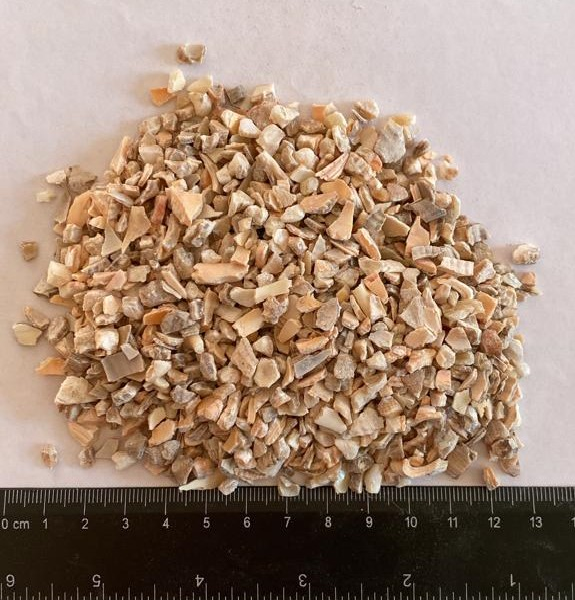 Rapan Venosa Shell Mulch Shelf Life Unlimited Digestibility Highly Digestible Calcium Content 350 To 400 Grams Per - Image 4