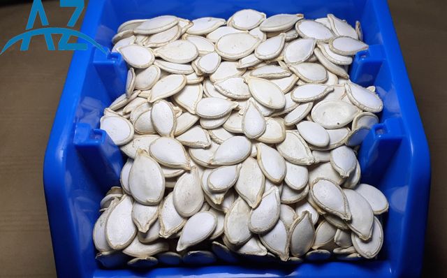 Pumpkin Seed Grade A Style Dried Size 8cm-11cm Model Number 09 Certification SGS Brand Name aztplc Color Light White Type Pumpkin - Image 5