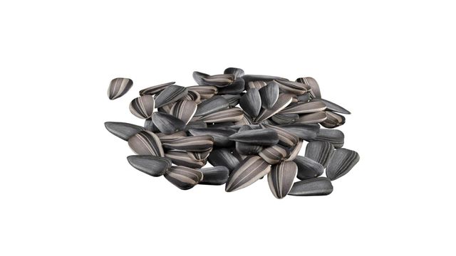 SUNFLOWER SEED - Image 2