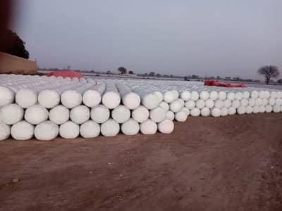 Corn Silage – product photo 4, product detail gallery