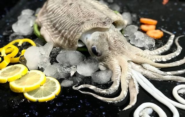 Frozen Cuttlefish - Image 2