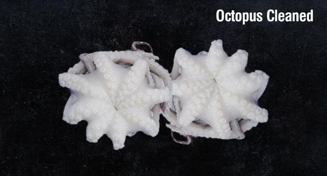 FROZEN OCTOPUS WHOLE CLEANED BEST PRICE EXPORT - Image 1