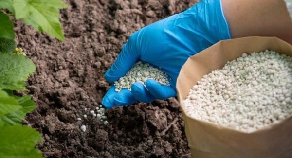 Buy NPK Fertilizer Online - Best Price & Free Delivery - Image 1