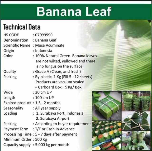Banana Leaf/Leaves, Fresh/Frozen for Air Freight possible Ocean Freight - Image 3
