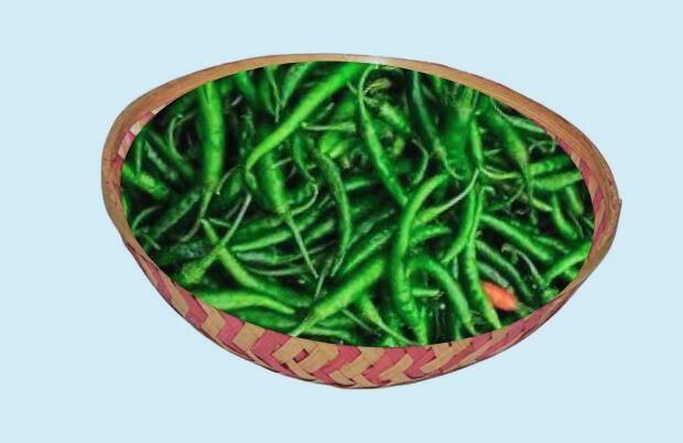 Green Chili, G-4 Chili, Indian Chili, Fresh Chili, Gauri Chili, Egal Chili Teja Chili - Image 4