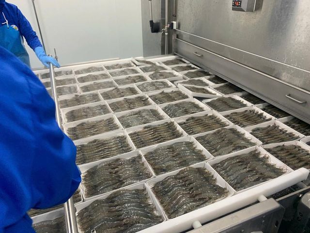 Frozen Hoso Shrimp Premium Frozen Seafood Packed Under Advanced Quality Controls For Global Buyer Demand - Image 3