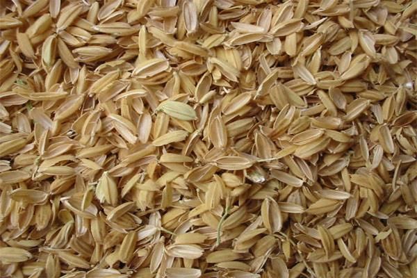 Rice husk Eco-friendly Yes Ash Content ±18% Origin Indonesia Max. Moisture (%) 12 Silica Content ±15–20% Moisture Content ≤ 12% - Image 3