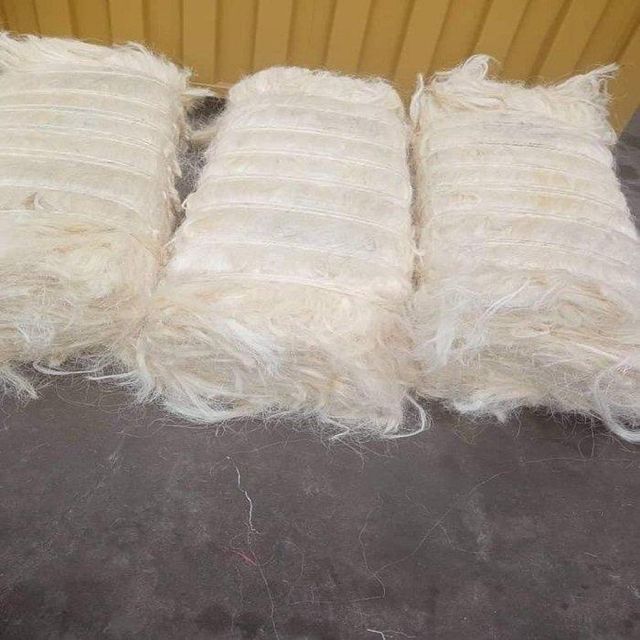 Natural Sisal Fibers in Bales on Suitable for a Variety of Industrial and Technical Applications - Image 3