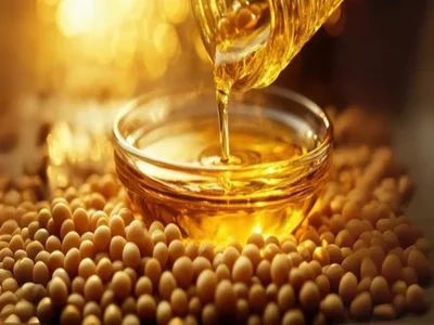 Crude Soybean Oil - Image 3