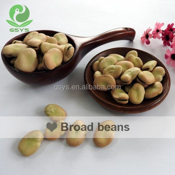 Golden supplier of dry Fava Beans /Broad Beans in shell 50-60 - Image 4