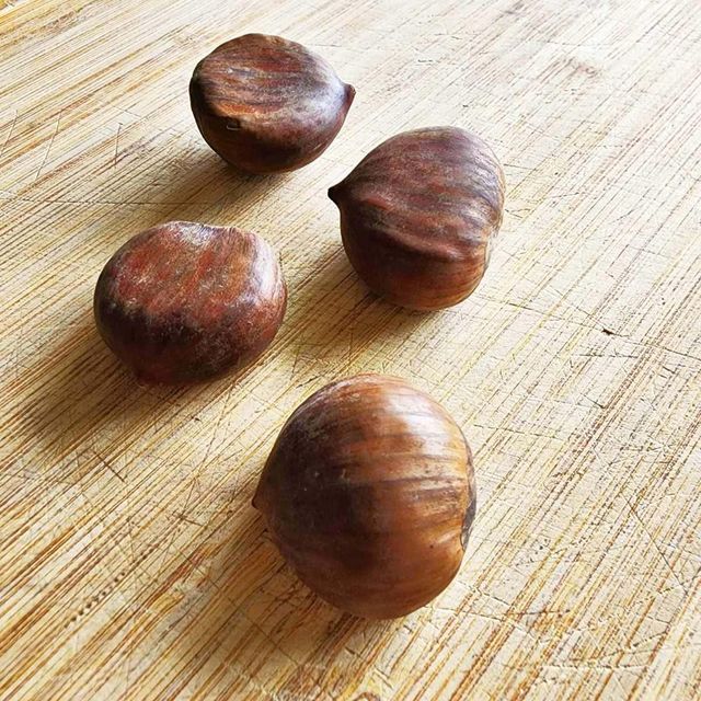 Natural Chestnuts With Clean Appearance And Carefully Graded Kernels For Bulk Food Ingredient Purchasing - Image 3