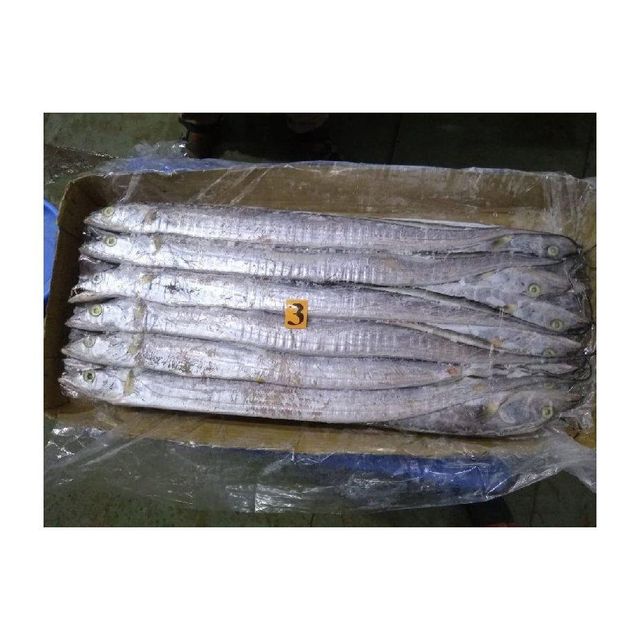Wholesale Frozen Whole Ribbon Fish Premium Quality Content Fish Features Lactose-Free - Image 4