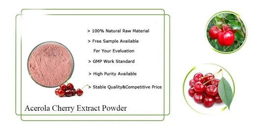 High Quality Acerola Cherry Extract Powder 25% Vitamin C CAS No / Variety / Form Soild State Powder Origin China Packaging - Image 5