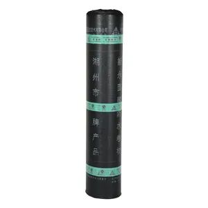 Sealed Storage Pressing Resistance Wear Resistant Customized Sbs Modified Waterproof Membranes - Image 2