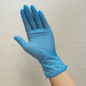 Disposable Nitrile Gloves for Food Processing Powder Free Nitrile Gloves - Image 2